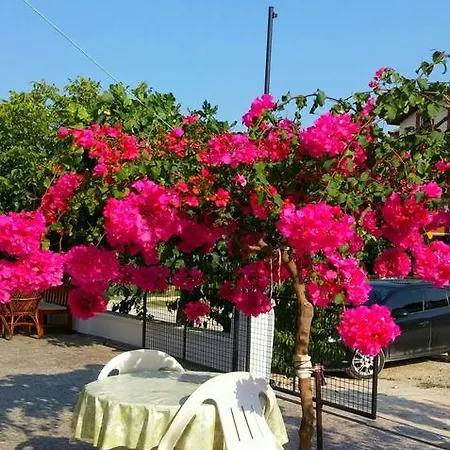 Tavilogullari Ξενοδοχείο με διαμερίσματα