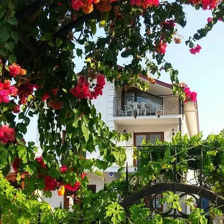 Ξενοδοχείο με διαμερίσματα Tavilogullari Dalyan